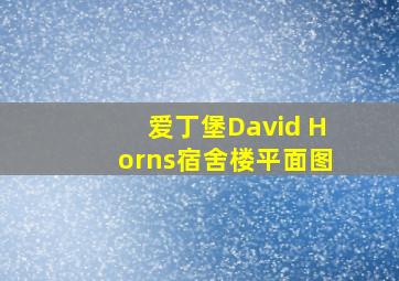 爱丁堡David Horns宿舍楼平面图